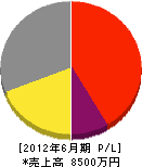 小松電工社 損益計算書 2012年6月期