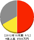 斉藤電設工業 損益計算書 2012年10月期
