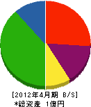 柴田電気 貸借対照表 2012年4月期
