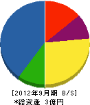 小林電気商会 貸借対照表 2012年9月期