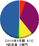 九州建装工業 貸借対照表 2010年9月期