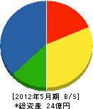 日東軽金 貸借対照表 2012年5月期