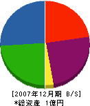 飯田工務店 貸借対照表 2007年12月期