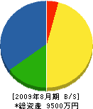 滝沢電気商会 貸借対照表 2009年8月期