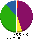 中矢美装 貸借対照表 2010年6月期