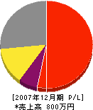 丸山電工 損益計算書 2007年12月期