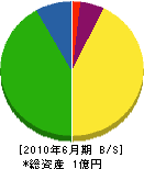 津田組 貸借対照表 2010年6月期