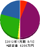 ミヤタケ塗装 貸借対照表 2012年1月期