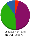 日新電工 貸借対照表 2008年4月期