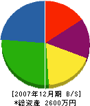 新栄商会 貸借対照表 2007年12月期