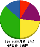 湘南建設 貸借対照表 2010年5月期