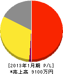 松隈産業 損益計算書 2013年1月期
