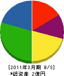 竹田電気 貸借対照表 2011年3月期