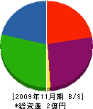 シャシキ 貸借対照表 2009年11月期