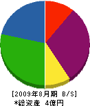 川崎建鉄 貸借対照表 2009年8月期