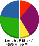 成島組 貸借対照表 2010年2月期
