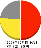 大阪石材工業 損益計算書 2009年10月期