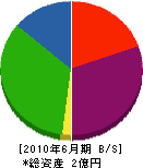 坂元組 貸借対照表 2010年6月期