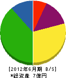坂井 貸借対照表 2012年6月期