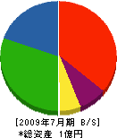 藤井製材 貸借対照表 2009年7月期
