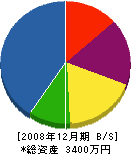 平中坊鉄建工業 貸借対照表 2008年12月期