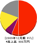 丸山商事 損益計算書 2009年12月期