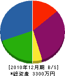 梶川電機商会 貸借対照表 2010年12月期