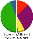 清綜合設計 貸借対照表 2009年12月期