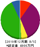 北川設備工業所 貸借対照表 2010年12月期