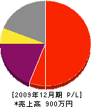 中村建築 損益計算書 2009年12月期