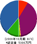 ミライ建設 貸借対照表 2008年10月期