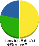 大川組 貸借対照表 2007年12月期