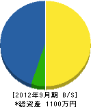 オクダ大阪 貸借対照表 2012年9月期