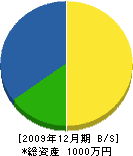 相田造園 貸借対照表 2009年12月期