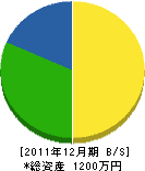 真田電工 貸借対照表 2011年12月期