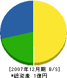 上田造園 貸借対照表 2007年12月期