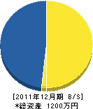 上田工業 貸借対照表 2011年12月期