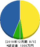 坂本綜合建設 貸借対照表 2010年12月期