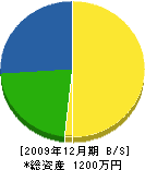 栃下タイル 貸借対照表 2009年12月期