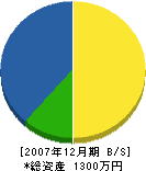 山栄土木 貸借対照表 2007年12月期