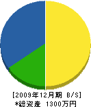 丸尾電気商会 貸借対照表 2009年12月期
