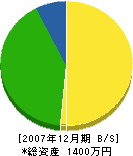 松本電気商会 貸借対照表 2007年12月期
