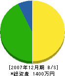田口塗装 貸借対照表 2007年12月期