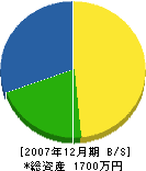 永田畳店 貸借対照表 2007年12月期