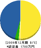 枝光土木 貸借対照表 2009年12月期