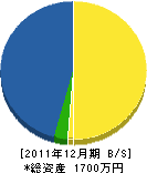 枝光土木 貸借対照表 2011年12月期