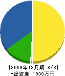 山勇建設 貸借対照表 2009年12月期