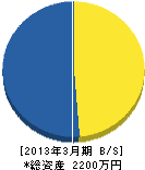 東京ローンサービス 貸借対照表 2013年3月期
