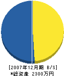 岡本組 貸借対照表 2007年12月期