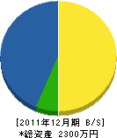 岩崎組 貸借対照表 2011年12月期